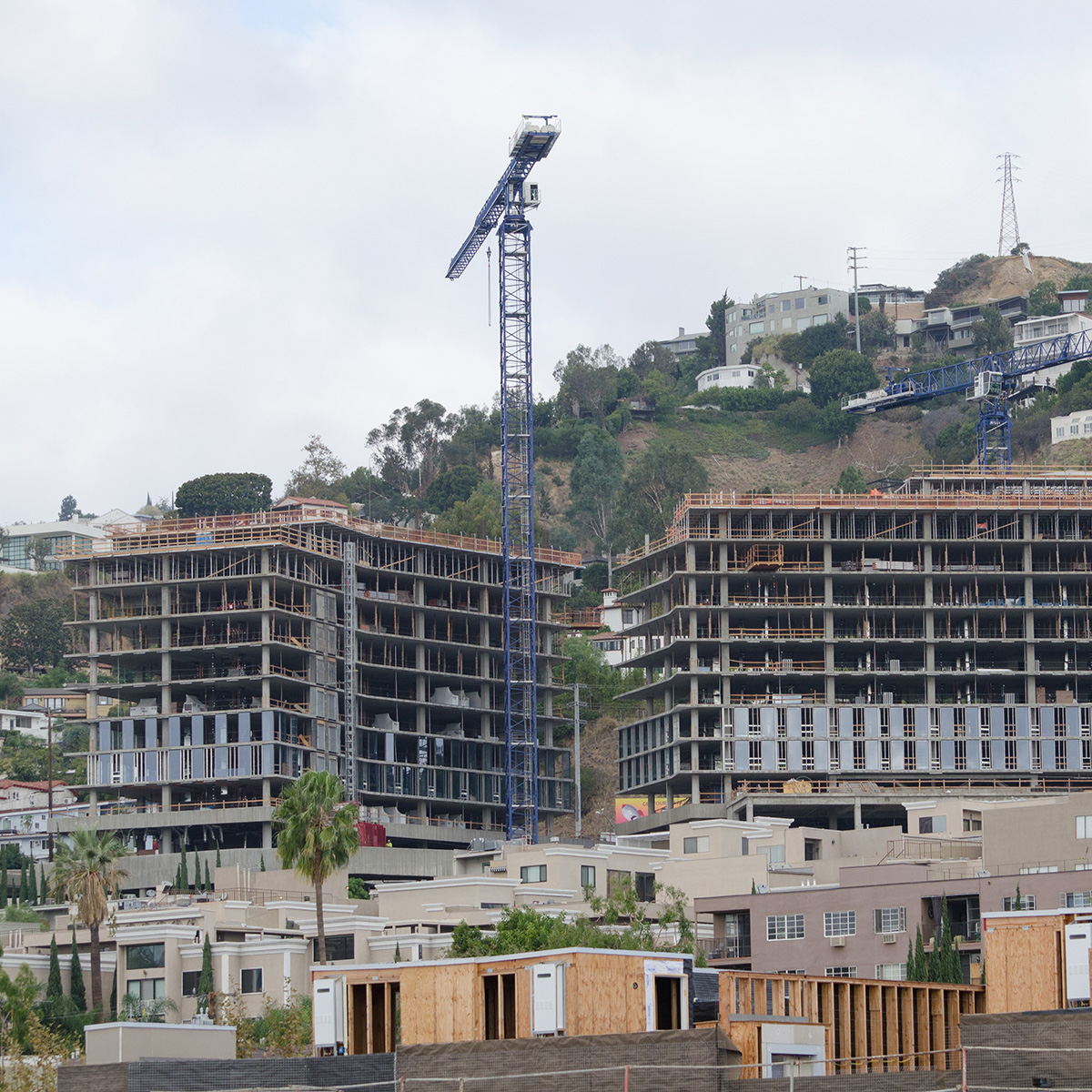 _0000s_0001_Sunset La Cienega