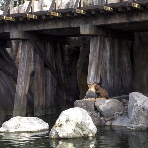 0000s_0003_Disney Frontierland Expansion