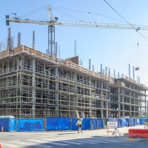 _0000s_0003_RWC 4 Diller