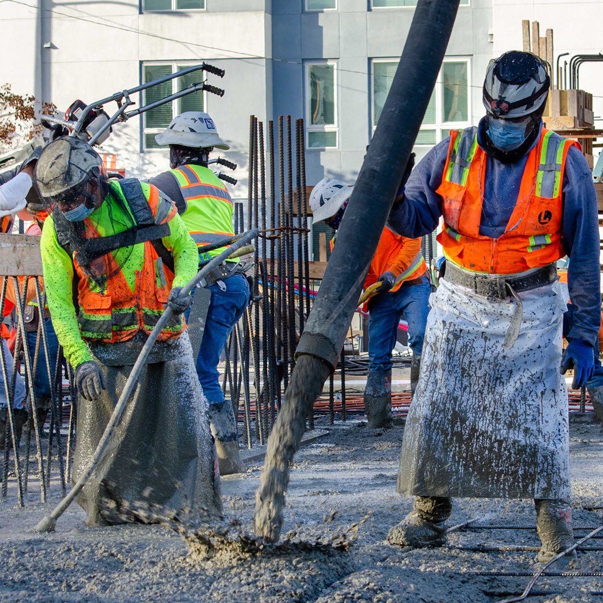 _0001s_0000_Ferrante