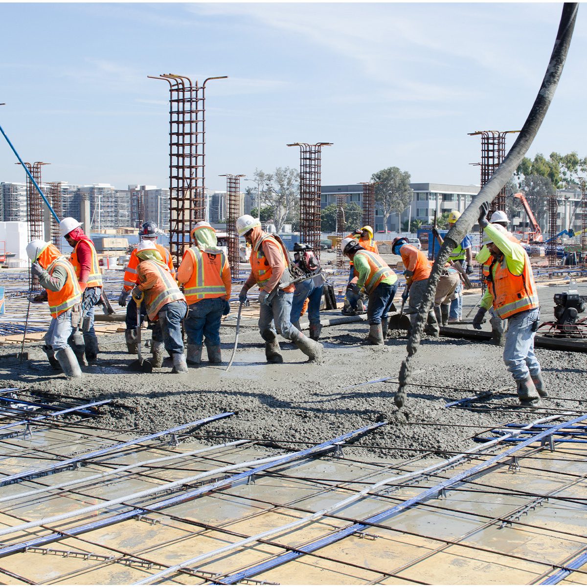 _0001s_0000_Neptune Marina