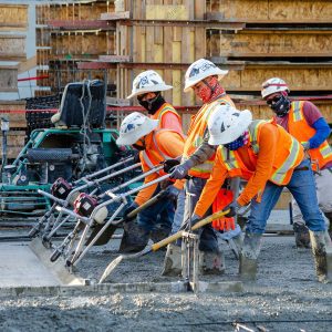 _0001s_0001_Ferrante