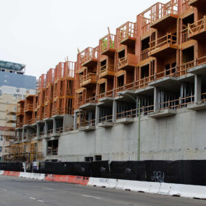 _0001s_0002_Webster 12