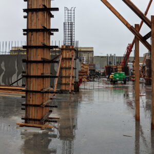 _0001s_0003_Webster 12