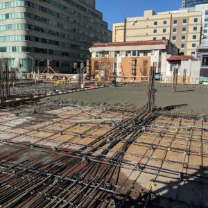 _0001s_0004_Webster 12