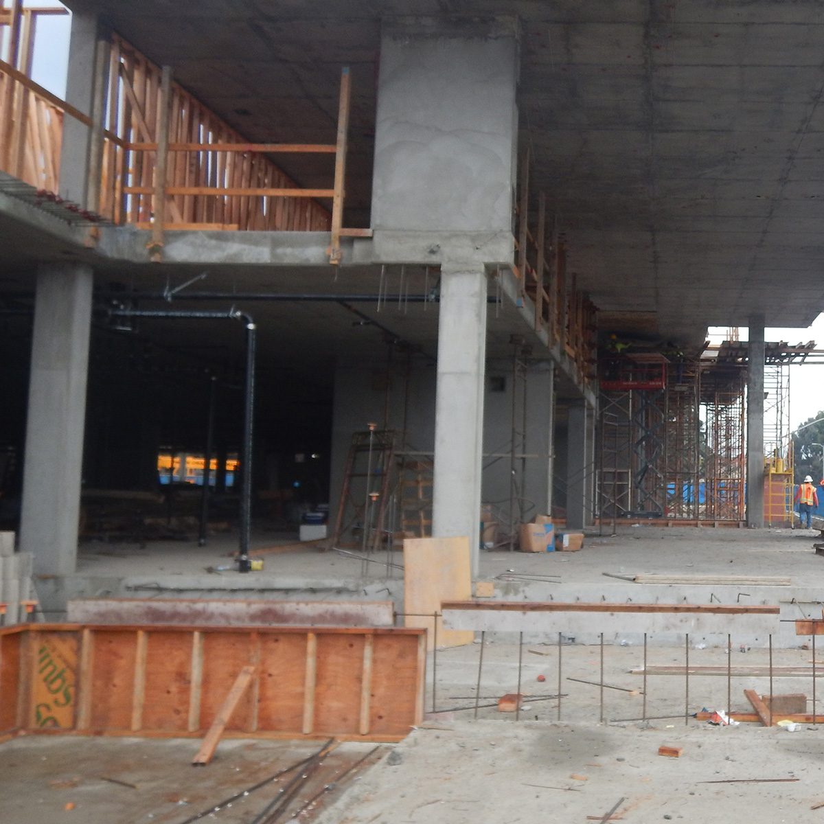 _0001s_0006_Neptune Marina