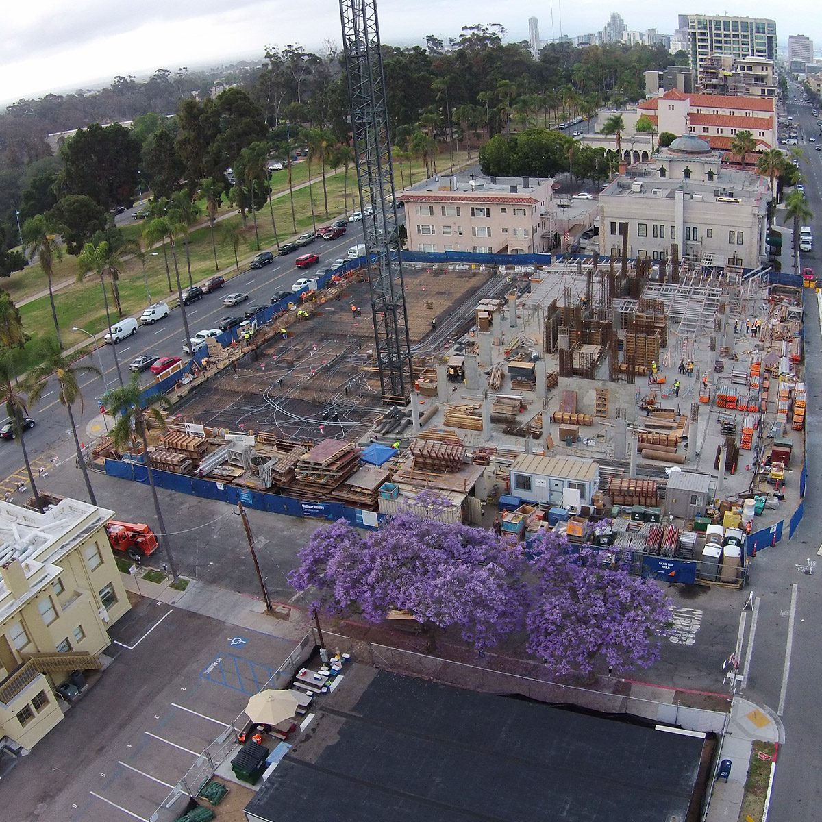 _0001s_0007_The Park