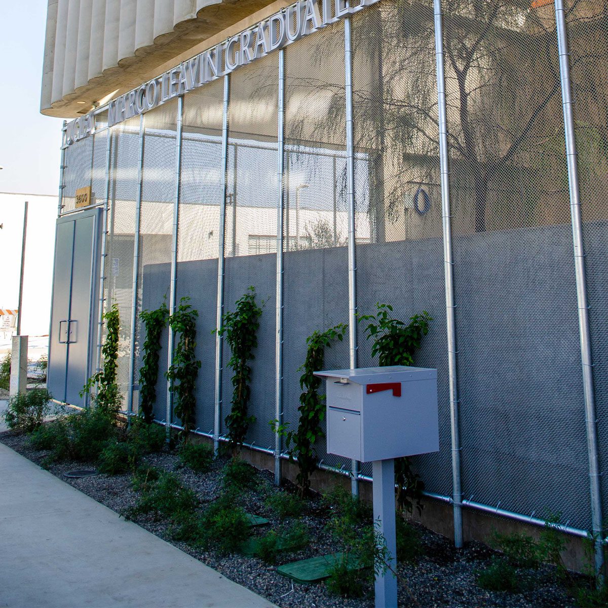 _0002s_0002_UCLA Margo Leaving