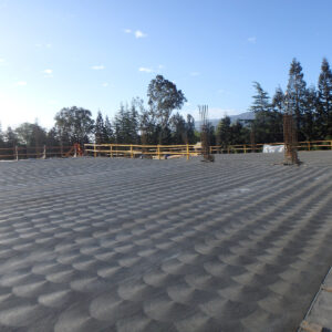 _0005s_0005_Netflix PS